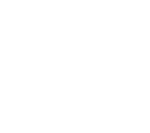 Vision